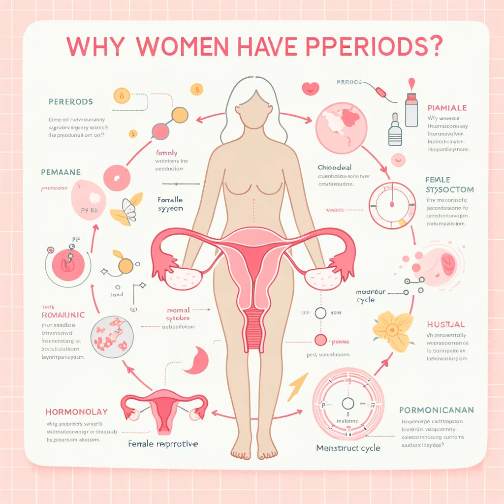 Why Do Women Have Periods?