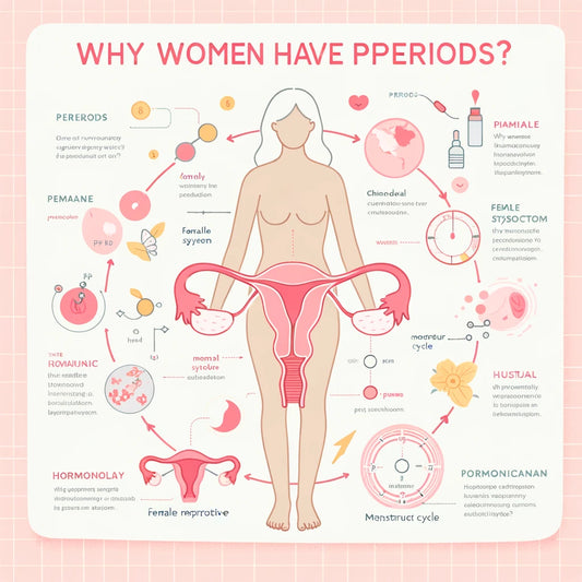 Why Do Women Have Periods?