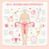 Why Do Women Have Periods?