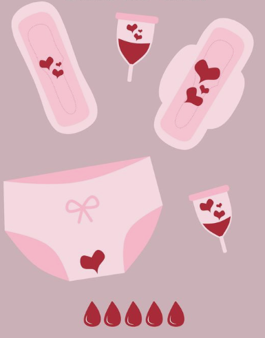 Comparing Period Panties with Other Menstrual Products